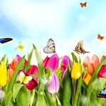 spring-time