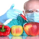 gmo