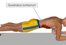 Isprobajte vežbu koja zamenjuje 1.000 trbušnjaka (VIDEO)
