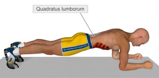 Isprobajte vežbu koja zamenjuje 1.000 trbušnjaka (VIDEO)