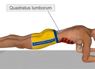 Isprobajte vežbu koja zamenjuje 1.000 trbušnjaka (VIDEO)