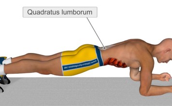 Isprobajte vežbu koja zamenjuje 1.000 trbušnjaka (VIDEO)