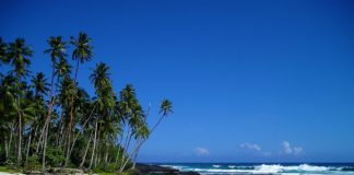 Vlada preporučuje produžetak važenja starih odmora