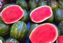 Kako izabrati kvalitetnu, slatku i zdravu lubenicu?