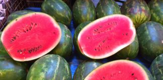 Kako izabrati kvalitetnu, slatku i zdravu lubenicu?