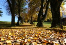 ODLAZI LETO: U nedelju 22. septembra počinje jesen