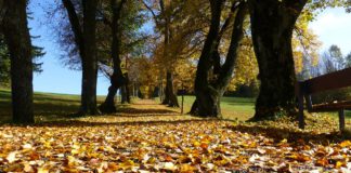 ODLAZI LETO: U nedelju 22. septembra počinje jesen