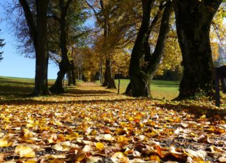 ODLAZI LETO: U nedelju 22. septembra počinje jesen