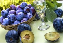 Sezona je šljiva a znate li koliko je zdravo pojesti samo 5 šljiva dnevno?