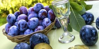 Sezona je šljiva a znate li koliko je zdravo pojesti samo 5 šljiva dnevno?