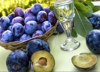 Sezona je šljiva a znate li koliko je zdravo pojesti samo 5 šljiva dnevno?