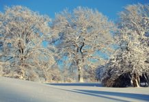 U nedelju 22. decembra u 05,19h počinje zima