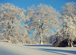 U nedelju 22. decembra u 05,19h počinje zima