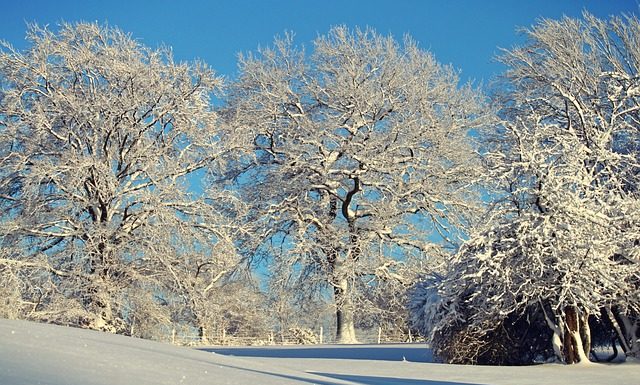 U nedelju 22. decembra u 05,19h počinje zima