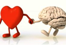 Da bi bilo ono pravo, treba spojiti srce i mozak!