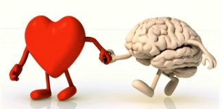 Da bi bilo ono pravo, treba spojiti srce i mozak!