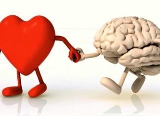 Da bi bilo ono pravo, treba spojiti srce i mozak!