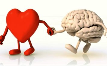 Da bi bilo ono pravo, treba spojiti srce i mozak!