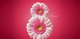 Danas je 8. mart – Međunarodni dan žena