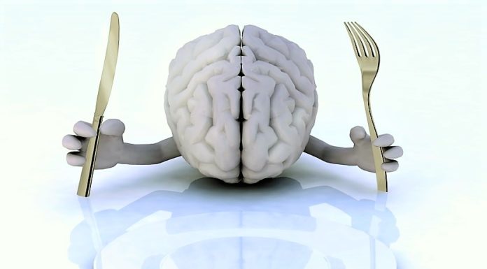 Moždane ćelije sprečavanju sagorevanje kalorija