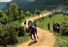 Prijavite svoja grla do 27. aprila na 51. jubilarnu Komaransku košiju