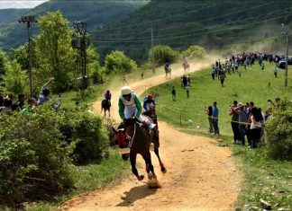 Prijavite svoja grla do 27. aprila na 51. jubilarnu Komaransku košiju