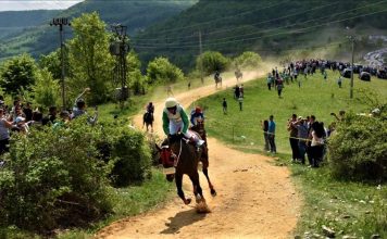 Prijavite svoja grla do 27. aprila na 51. jubilarnu Komaransku košiju