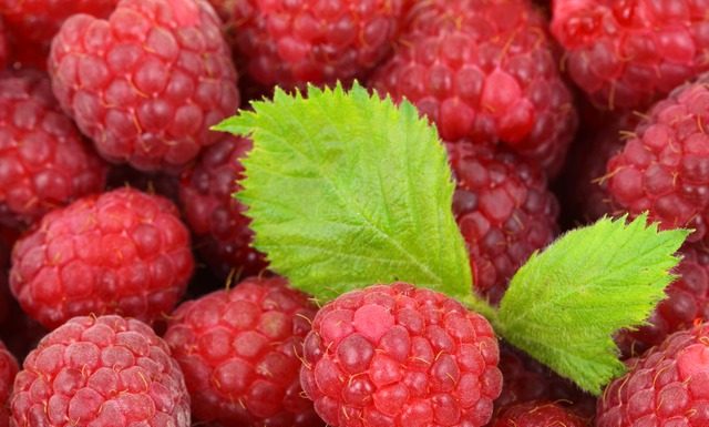 Akontna cena za prvu klasu maline 120 dinara