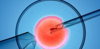 Za vantelesnu oplodnju pomoć opštine do 400 000 dinara