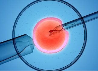 Za vantelesnu oplodnju pomoć opštine do 400 000 dinara