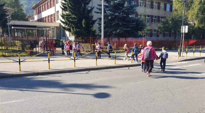 Zbog gripa zimski raspust produžen do 24. februara foto: www.ppmedia.rs A.Rovčanin