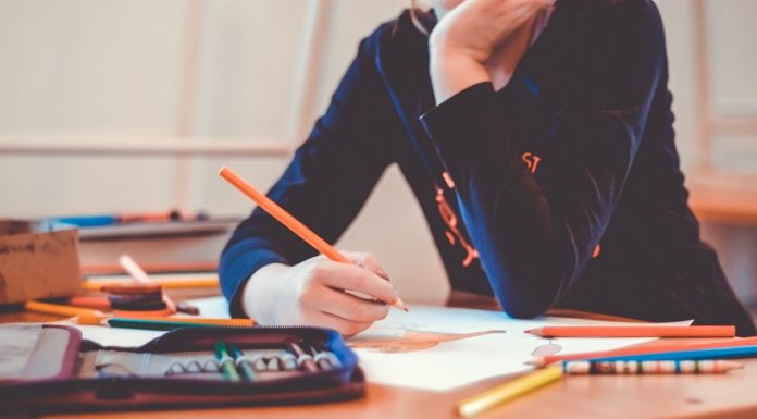 Uskoro probna mala matura: Testovi kreću od 22. aprila onlajn