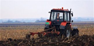 Od kraja marta isplata subvencija poljoprivrednicima