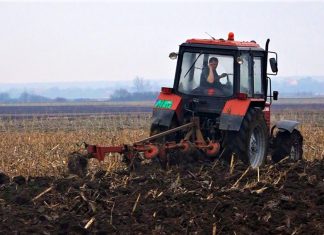 Od kraja marta isplata subvencija poljoprivrednicima