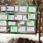 U januaru u Srbiji duplo više umrlih nego rođenih