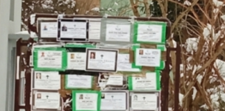 U januaru u Srbiji duplo više umrlih nego rođenih