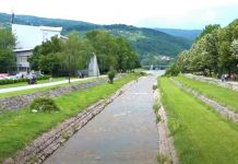 15. maja prolećna akcija čišćenja grada