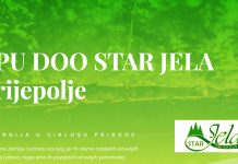 Preduzeće Star Jela traži radnike za novu proizvodnju lepljenih greda i ploča