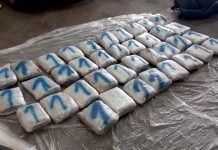 Policija u Lučicama zaplenila 40kg marihuane