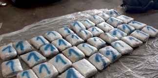 Policija u Lučicama zaplenila 40kg marihuane