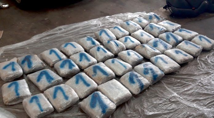 Policija u Lučicama zaplenila 40kg marihuane