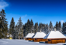 Golija – skriveni biser Srbije postaje sve privlačnija destinacija za turiste