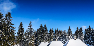 Golija – skriveni biser Srbije postaje sve privlačnija destinacija za turiste