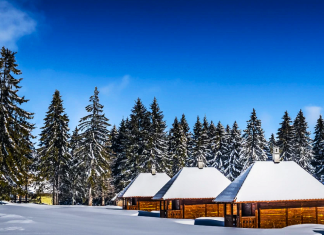 Golija – skriveni biser Srbije postaje sve privlačnija destinacija za turiste