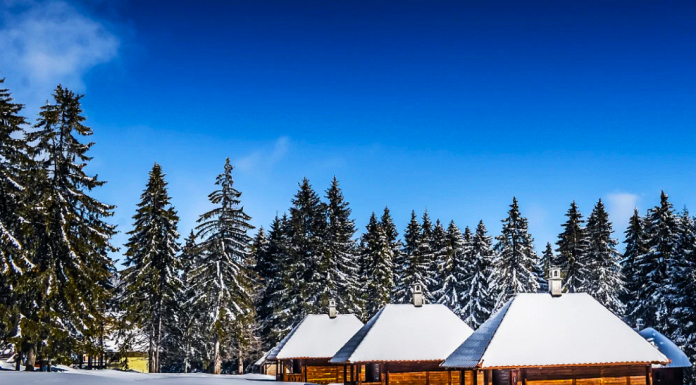 Golija – skriveni biser Srbije postaje sve privlačnija destinacija za turiste